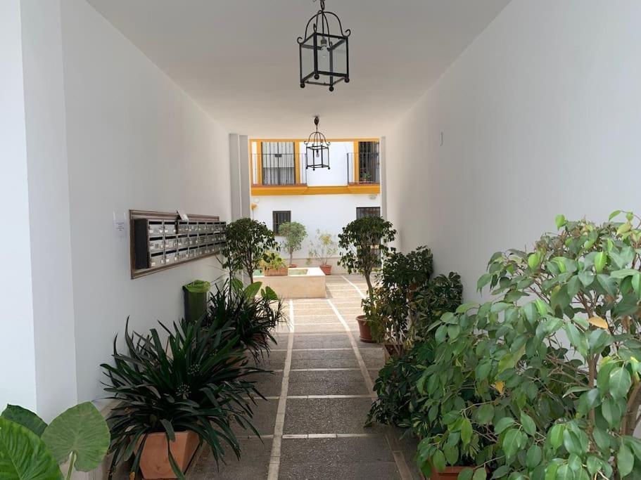 Pilsev Center Apartment Sevilla Buitenkant foto